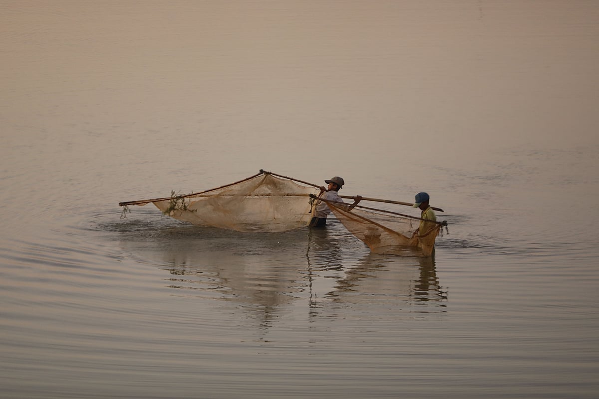 হাওরের পানিতে ঠেলা জাল নিয়ে মাছ ধরতে নেমেছে দুই শিশু 