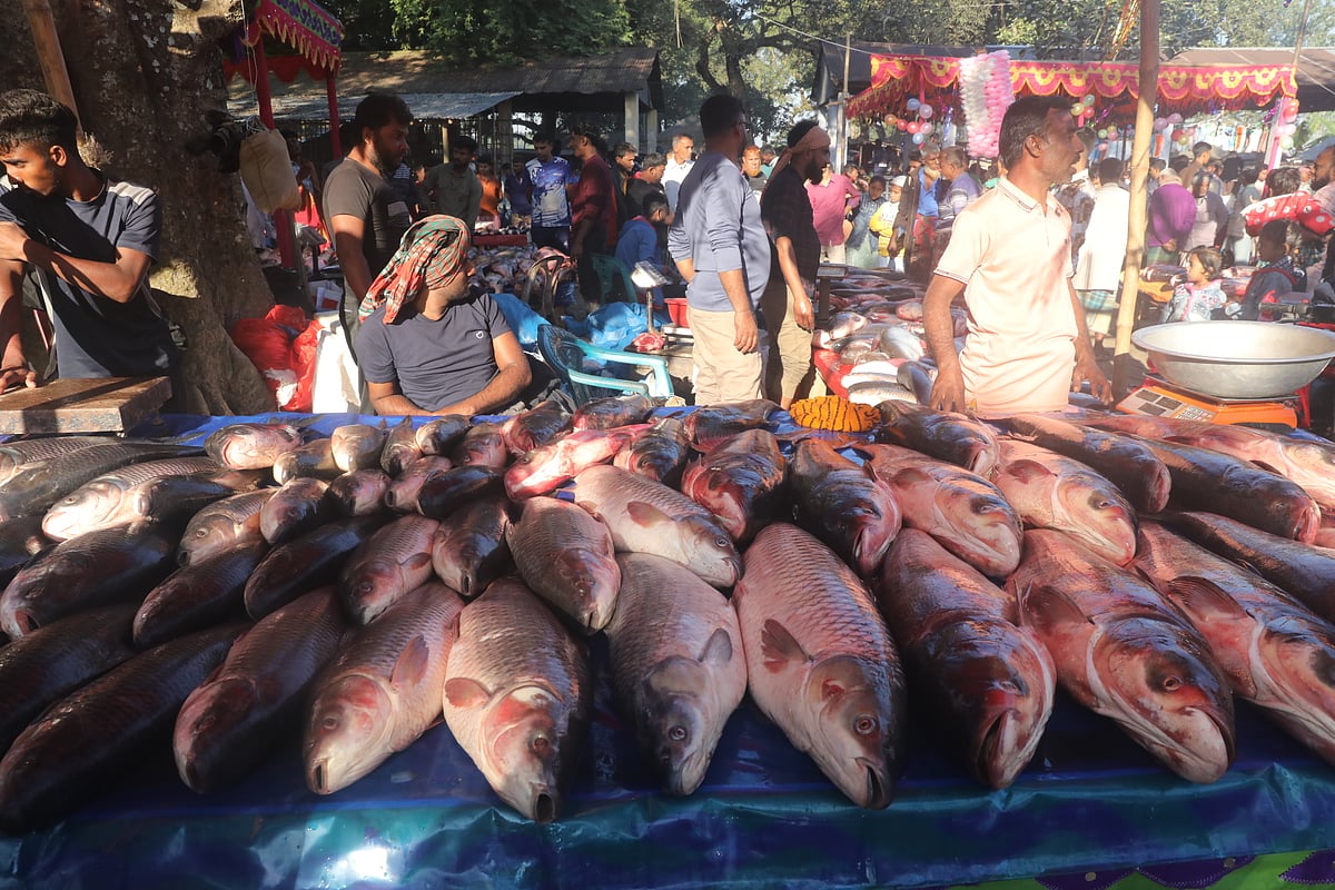মেলায় বিভিন্ন প্রজাতির মাছ 