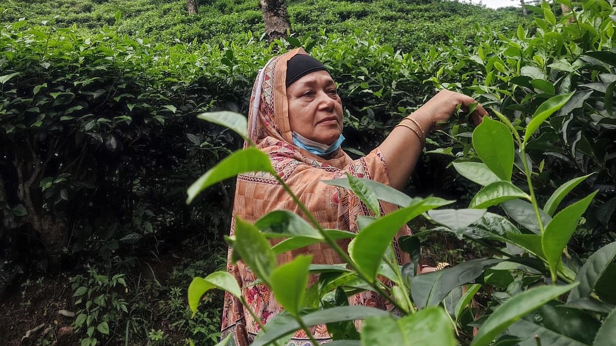 ফুসফুসের ক্যানসার