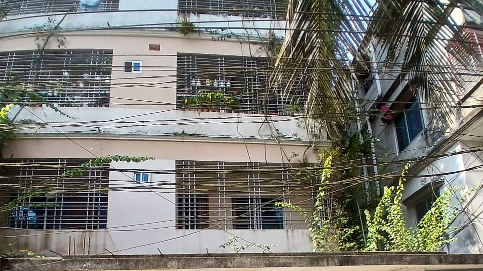 ছবি: প্রথম আলো 