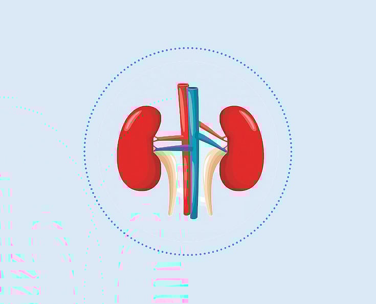 ডায়ালাইসিস কী, কেন দরকার হয়