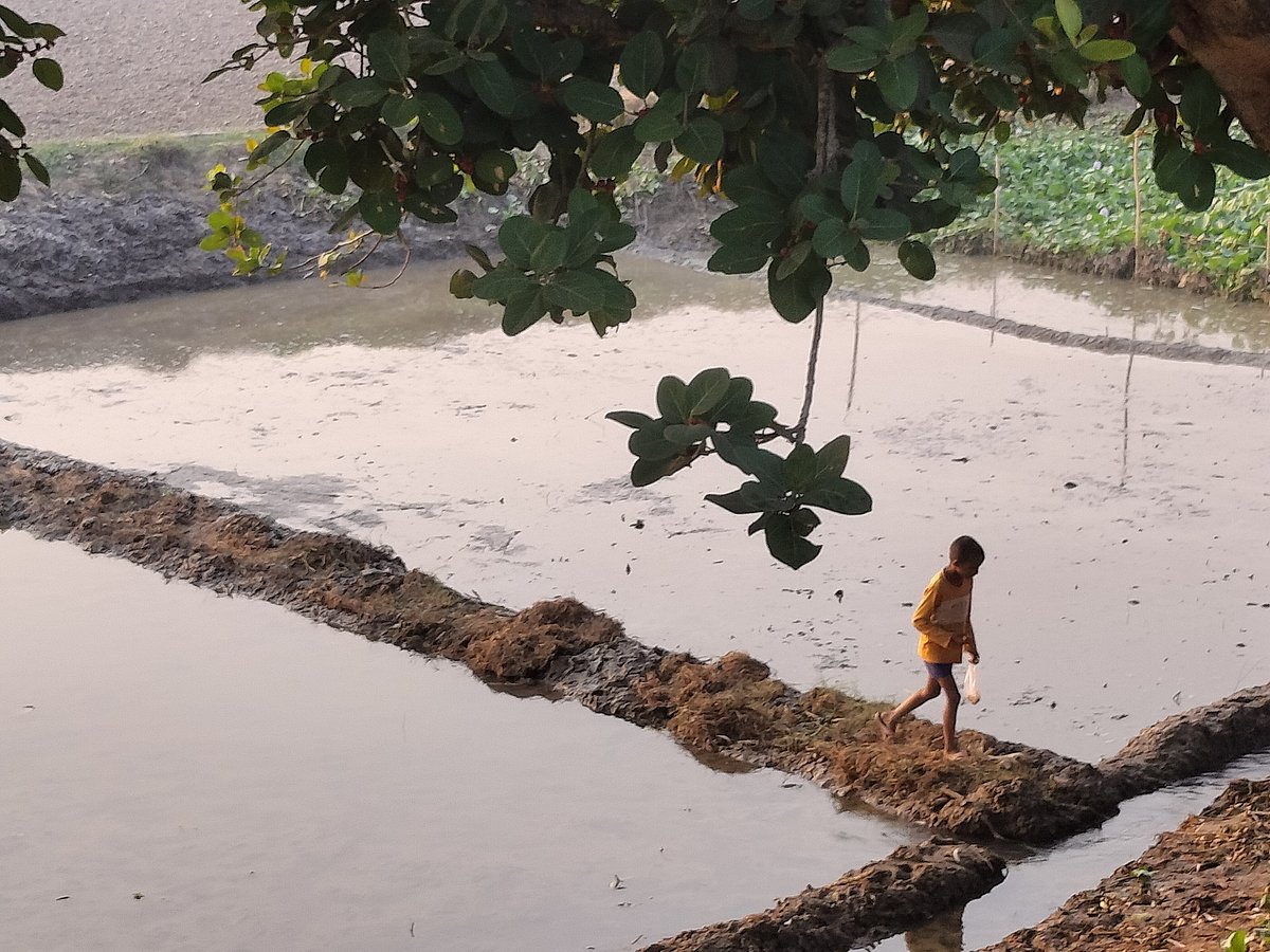 ছবি: সাজেদুল আলম 