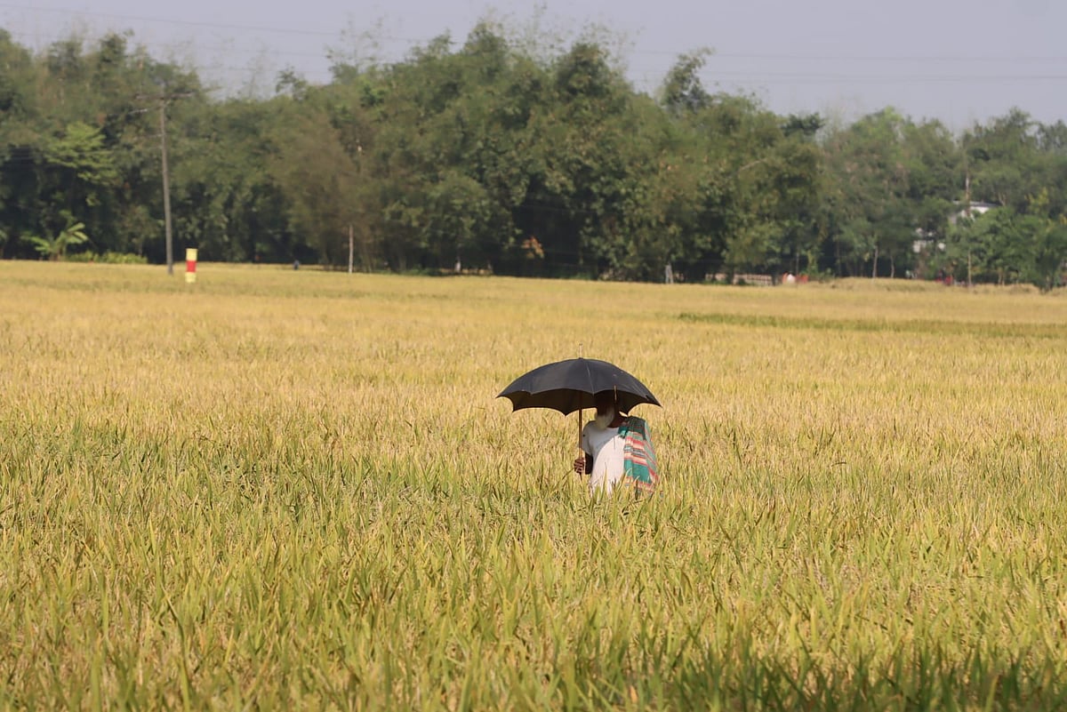ছবি: মঈনুল ইসলাম