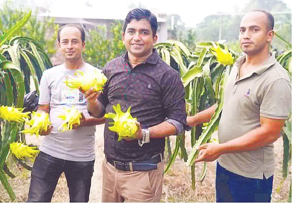চুয়াডাঙ্গায় তরুণদের হাত ধরে বদলে যাচ্ছে কৃষি