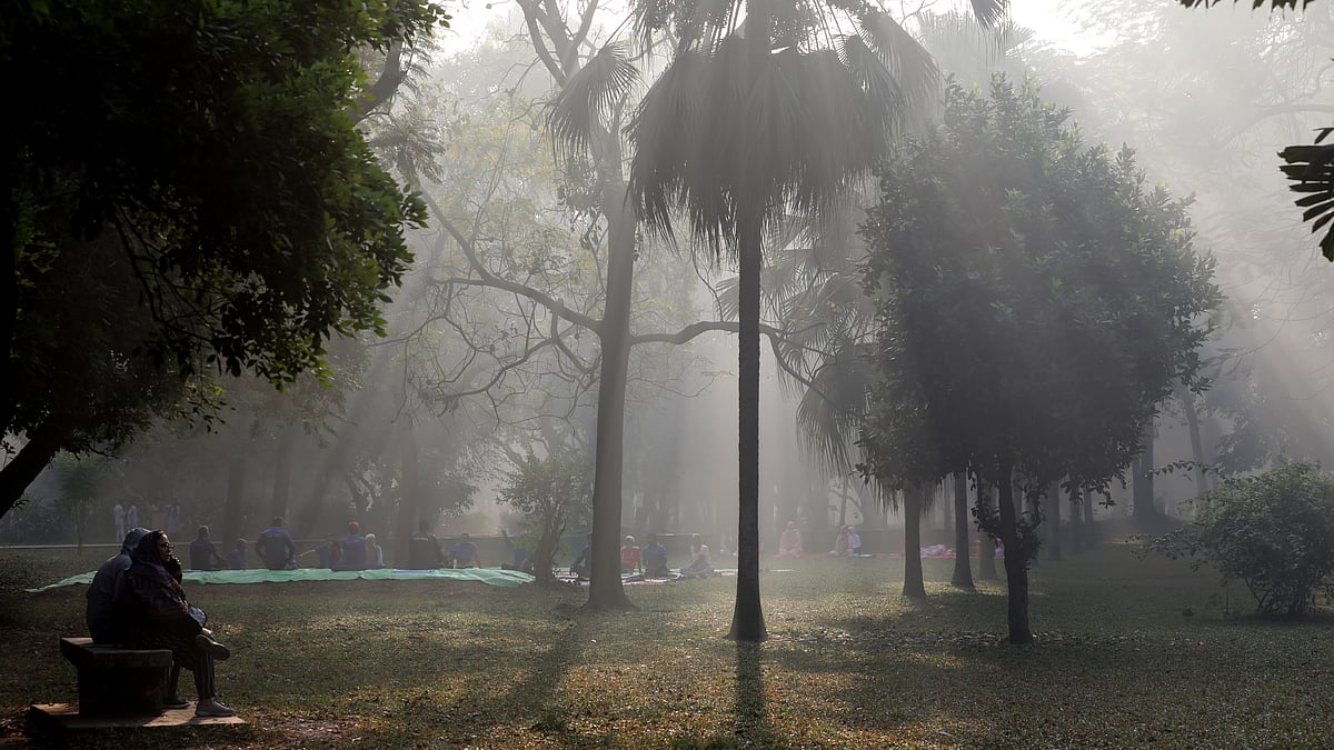 যোগব্যায়ামে মগ্ন তাঁরা। আলোকরশ্মি ছড়িয়ে পড়ছে চারদিকে
 