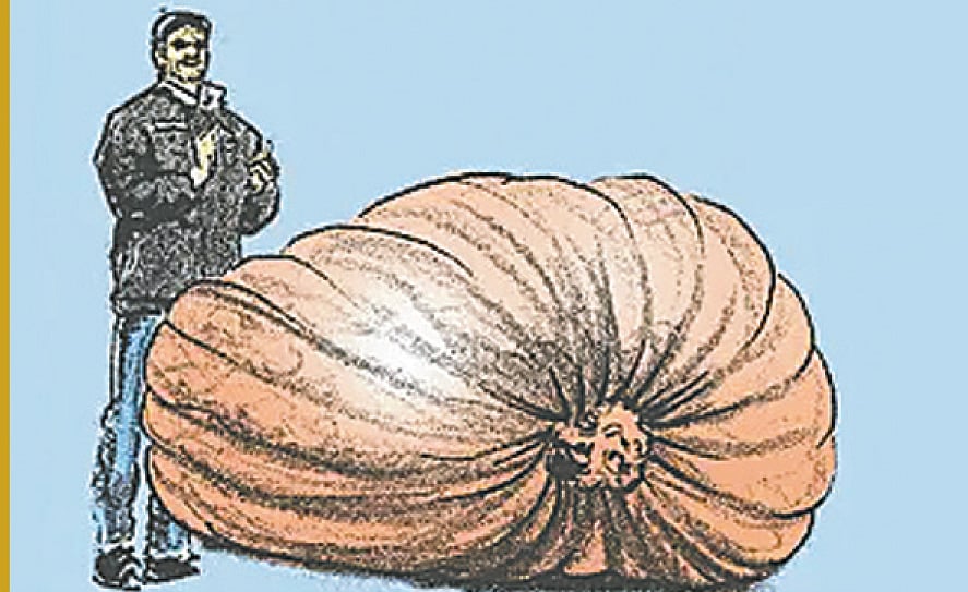 ২ হাজার ৩৪৬ পাউন্ডের কুমড়া