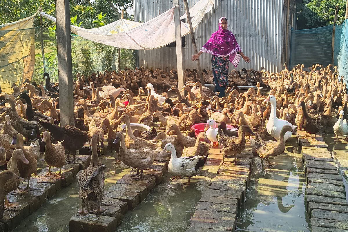 হাঁসের খামারি ম‌নি বেগম, মাসে আয় ৪০-৫০ হাজার টাকা
