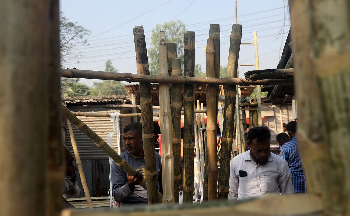 পছন্দের বাঁশ বাছাই করছেন এক ক্রেতা 