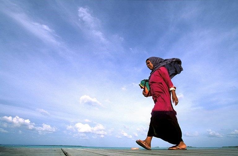 ‘হে প্রতিপালক, আপনার শোকর আদায়ের সামর্থ্য দিন’