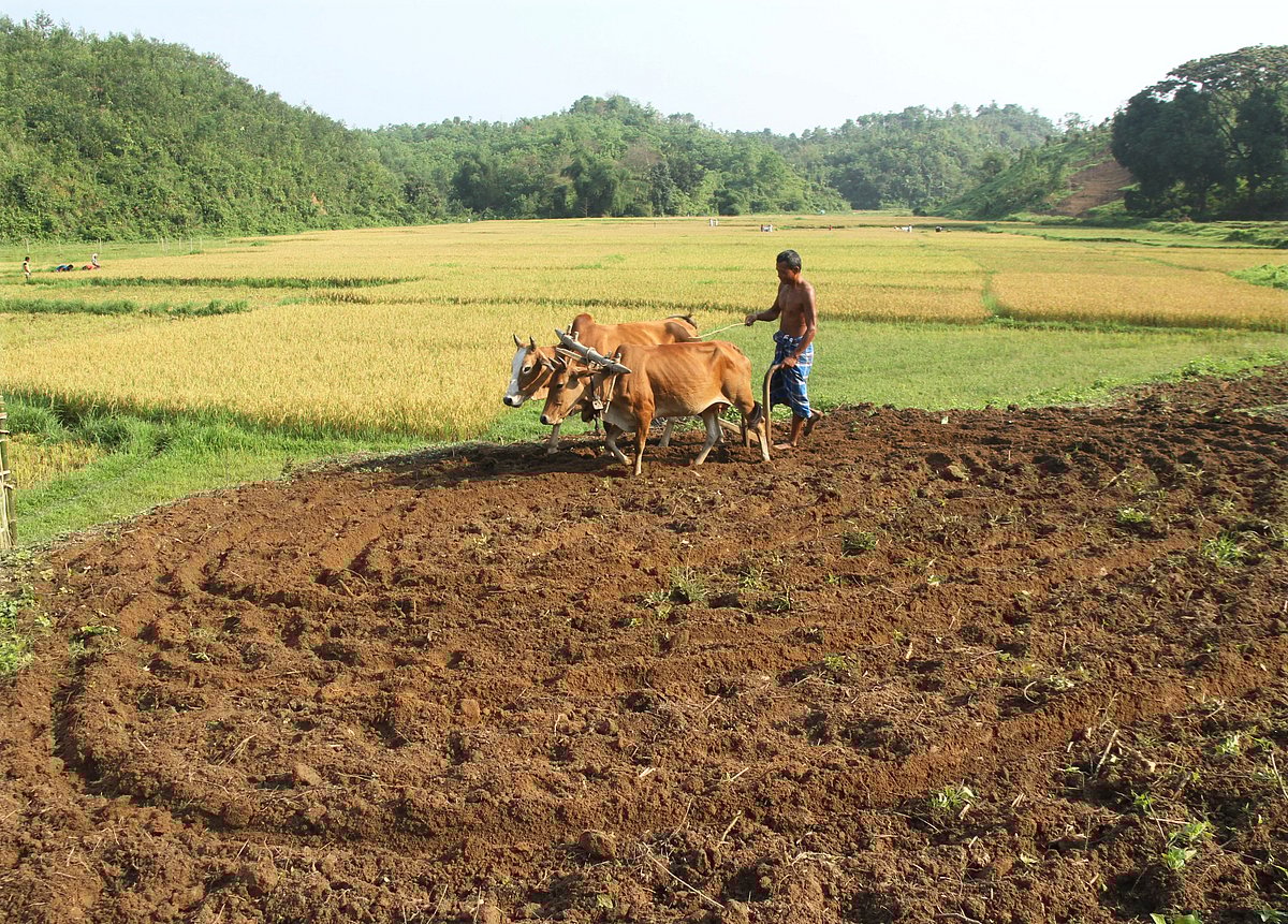 ছবি: সুপ্রিয় চাকমা 