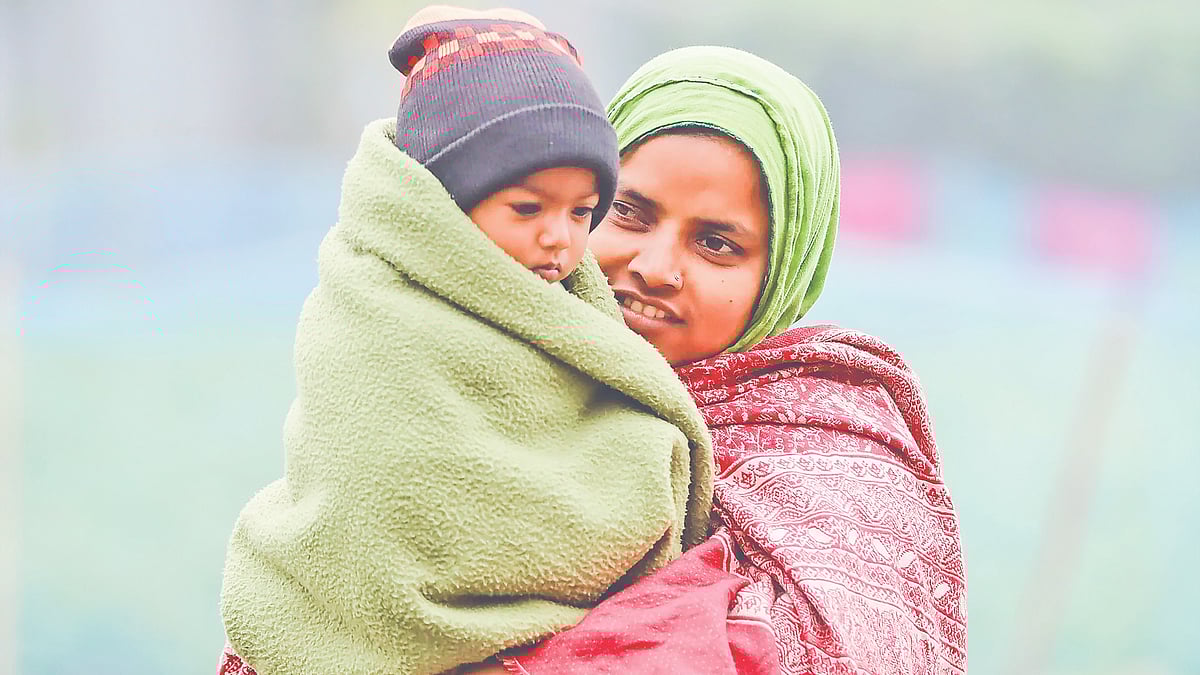 সেই যে আমার নানা রঙের উলগুলি