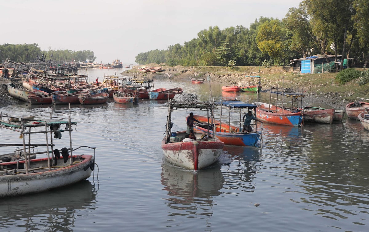 সমুদ্র থেকে এই লাল নৌকায় মাছ শিকার করে নিয়ে আসা হয় 