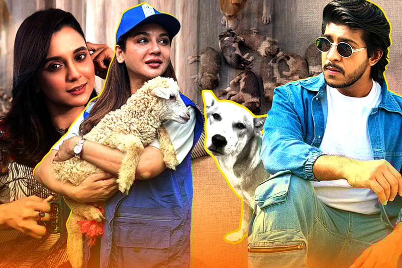 ঈশ্বরদীতে ৮ কুকুরছানা হত্যায় ক্ষোভ জয়া আহসানসহ তারকাদের