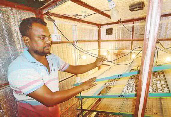 শখের বশে শুরু, শাহিনুল এখন কৃষি উদ্যোক্তা, কাজ করছেন কৃষকের উন্নয়নেও