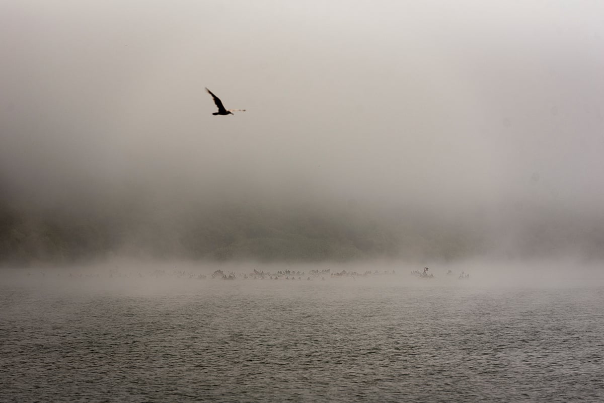 ইমাম গাজ্জালির আত্ম-অনুসন্ধান: পাণ্ডিত্য থেকে প্রজ্ঞায়