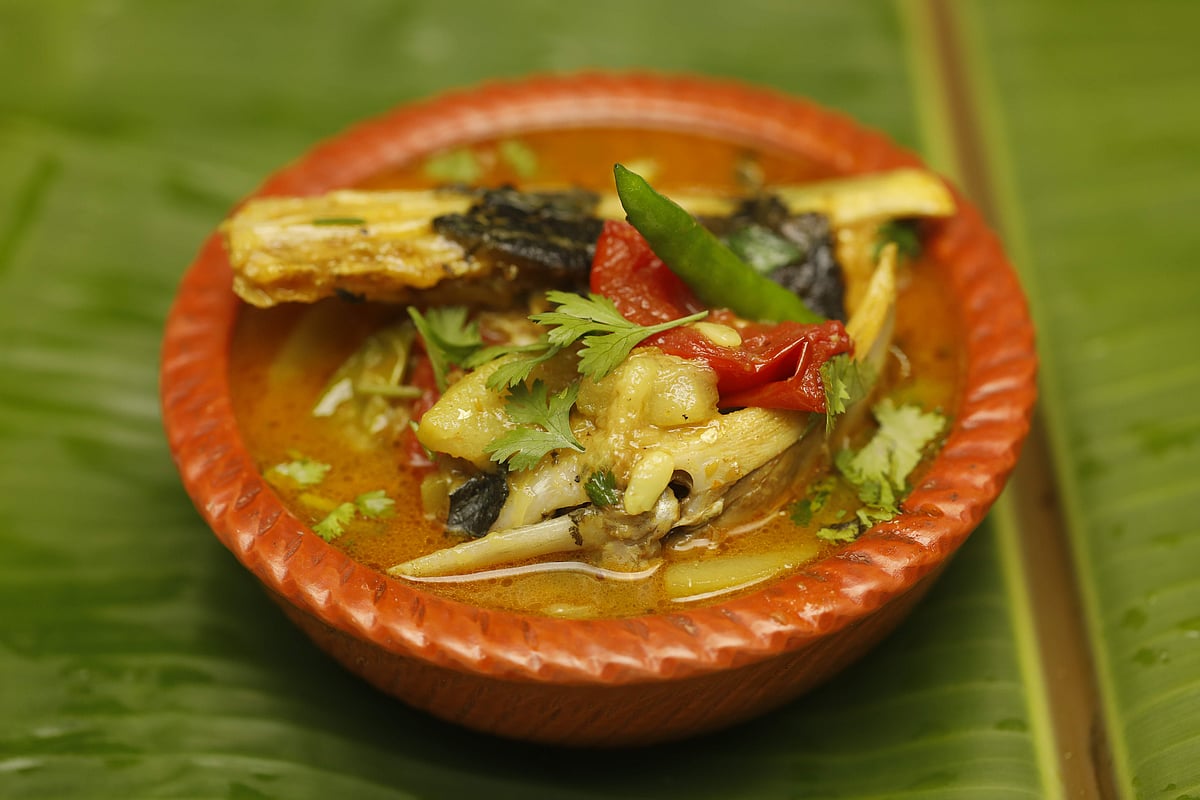 লাউ দিয়ে পাঙাশের মাথার রেসিপি