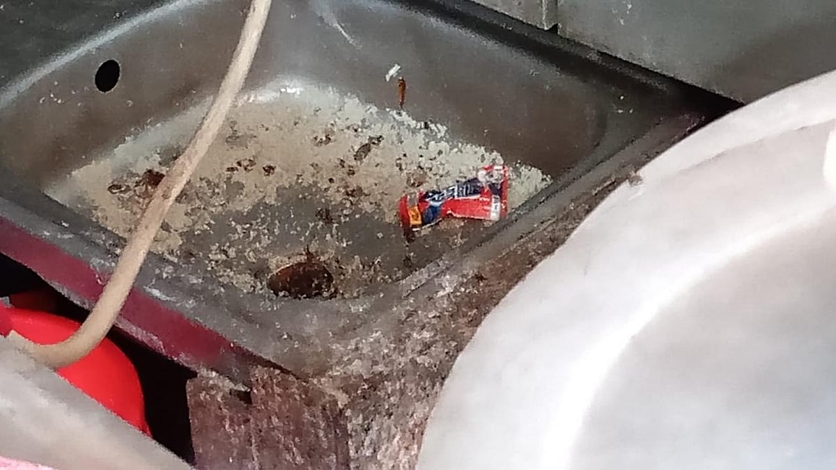 রসে ভরা লোভনীয় জিলাপি, সিরায় ভাসছিল মশা-মাছি