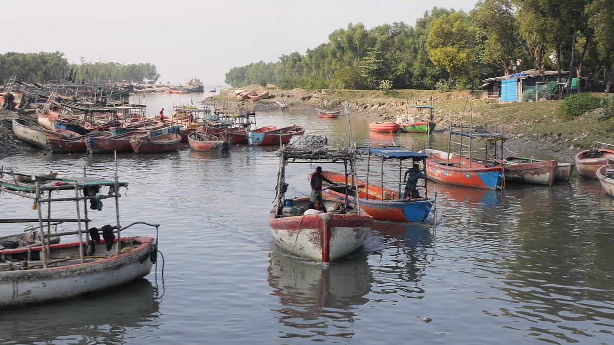 সমুদ্র থেকে মাছ ধরে নিয়ে আসে লাল রং লাগানো নৌকাগুলো