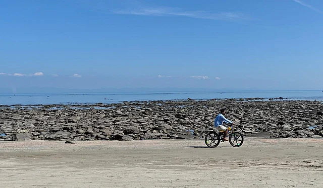 পর্যটকরা সাইকেলে চেপে ঘুরে বেড়ান নারিকেল জিঞ্জিরায়