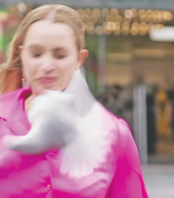 শুটিংয়ের সময় সাংবাদিকের মুখে পড়ল গাঙচিল