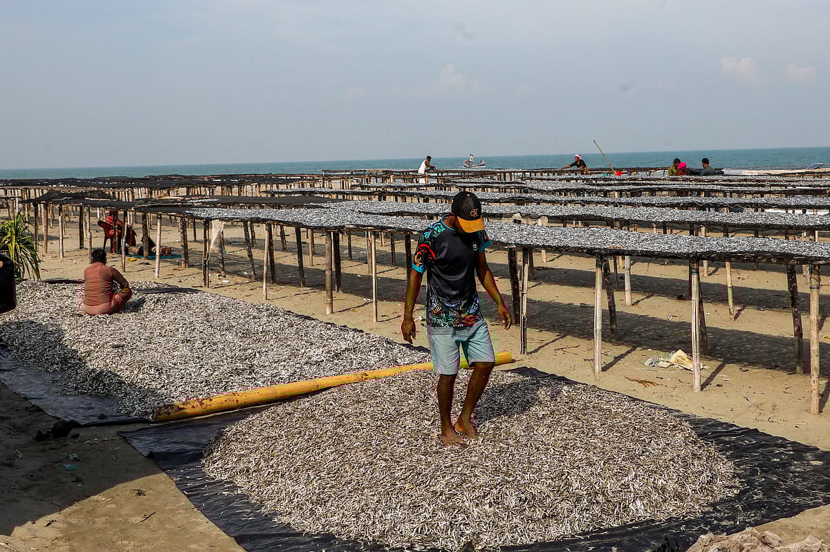 সেন্ট মার্টিনে শুঁটকিপল্লি