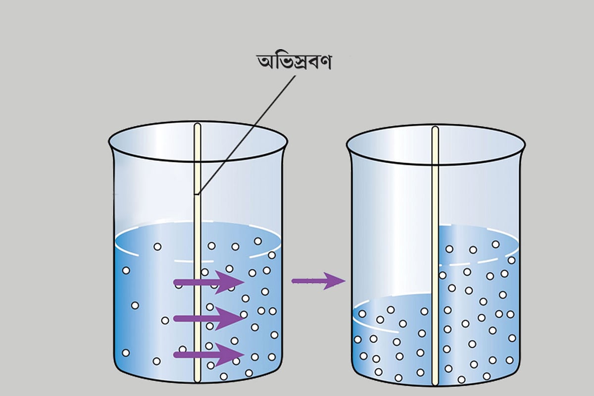 বিজ্ঞান—প্রস্বেদন উদ্ভিদের একটি শারীরবৃত্তীয় প্রক্রিয়া