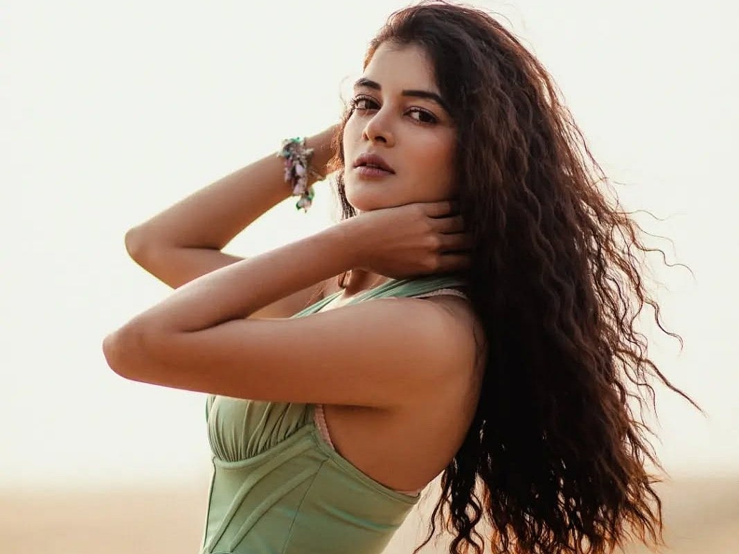 আবার বিয়ে করছেন ‘বোঝে না সে বোঝে না’ ধারাবাহিকের পাখি