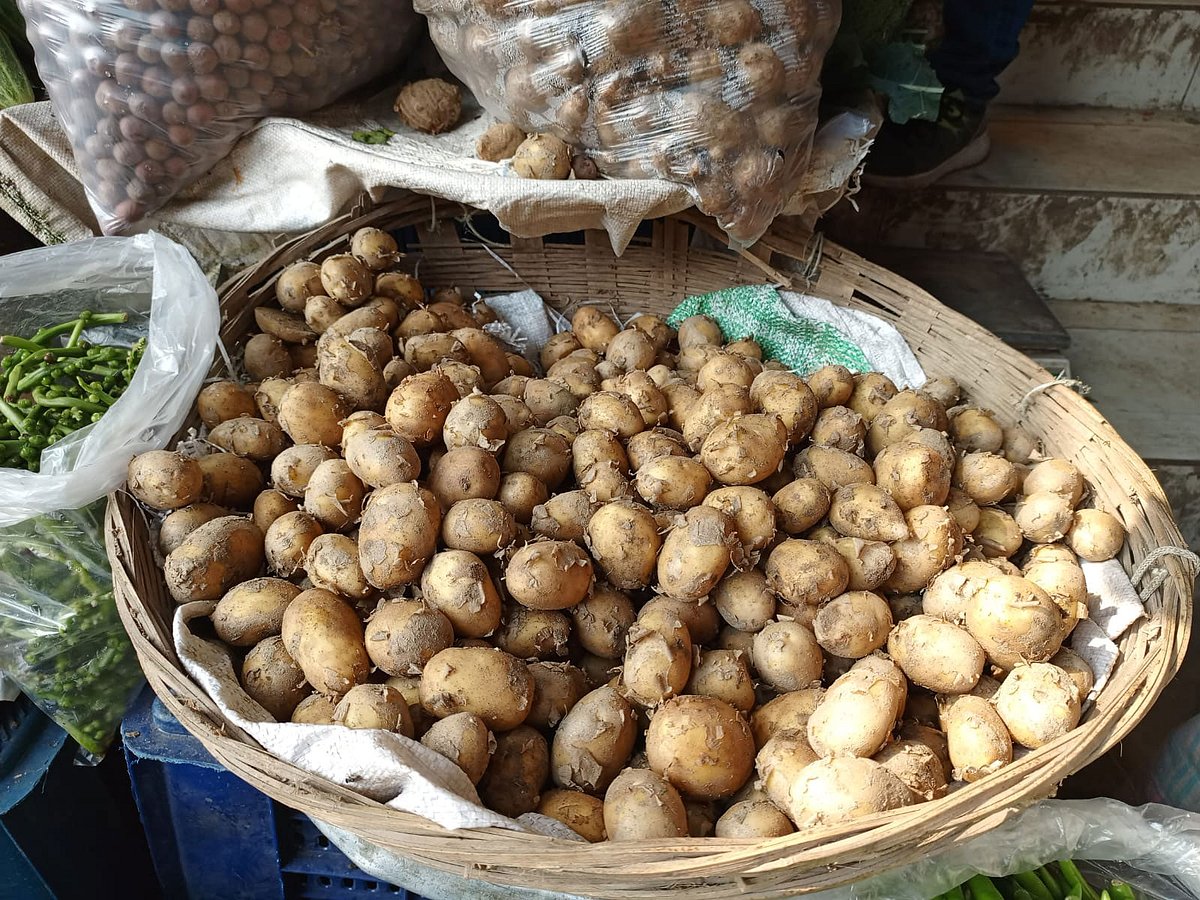 বাজারে এসেছে নতুন আলু, দাম কত