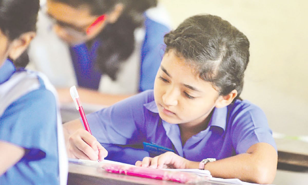 শব্দগুলো সাজাও, বাক্য বানাও