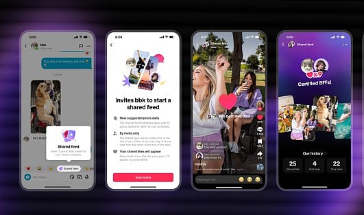 টিকটকে পরিচিত ব্যক্তিদের একই ভিডিও দেখার সুযোগ দিতে নতুন সুবিধা আসছে