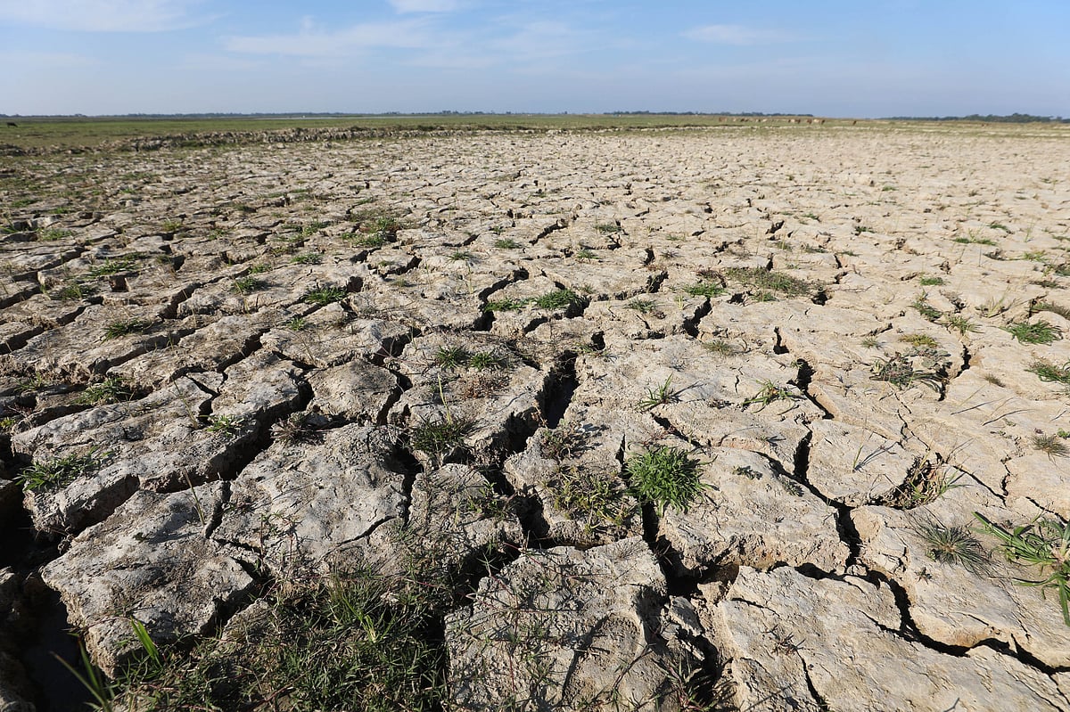 হাওরে মাটি ফেটে চৌচির