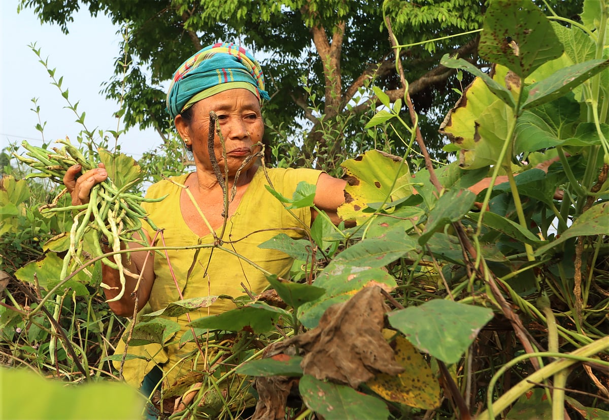 একঝলক (১১ ডিসেম্বর ২০২৫)