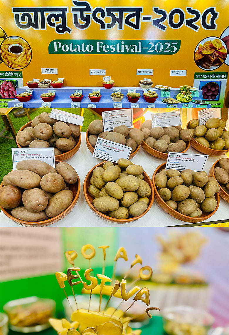 আলুর অভূতপূর্ব উদযাপনে দেশের প্রথম আলু উৎসব