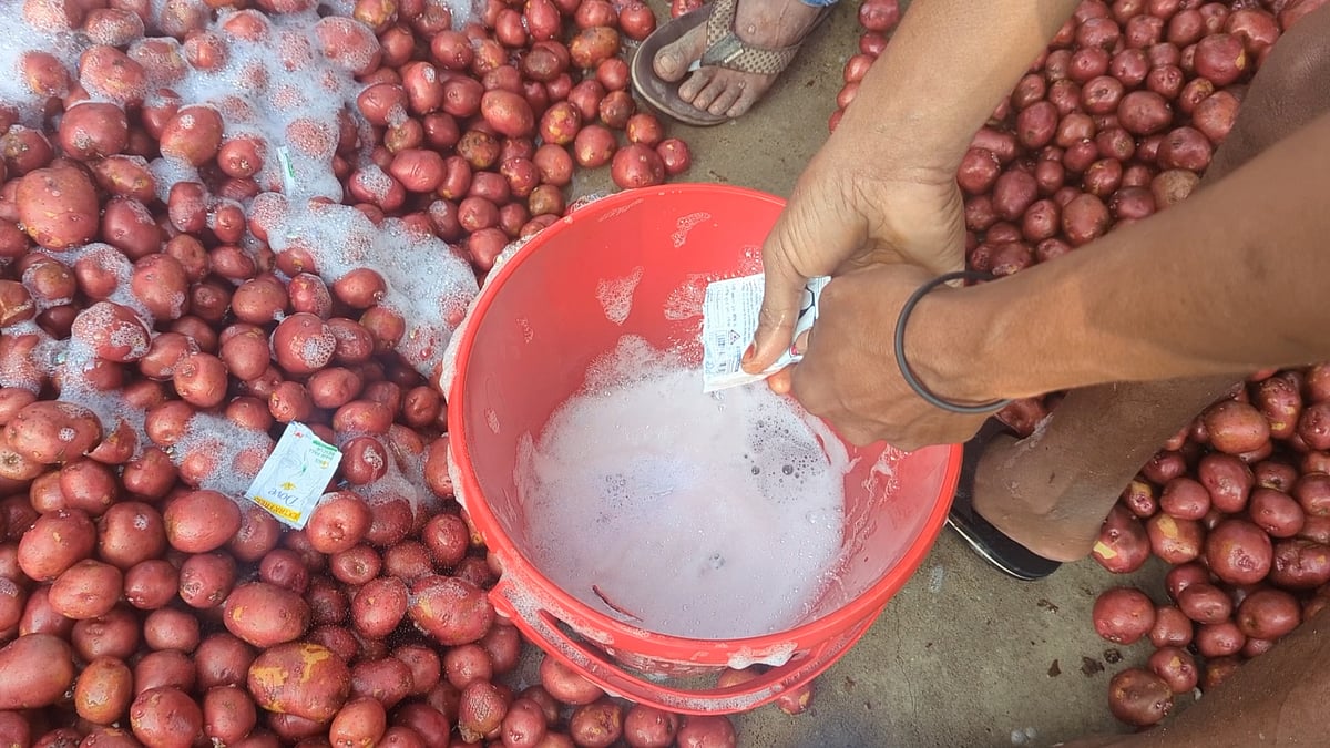 শ্যাম্পু-ডিটারজেন্ট দিয়ে চকচকে করা হচ্ছে আলু