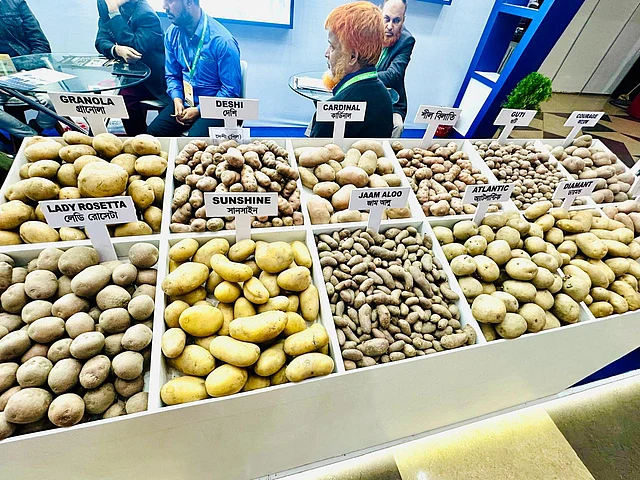 মেলায় দেখা যায় বহু জাতের আলু