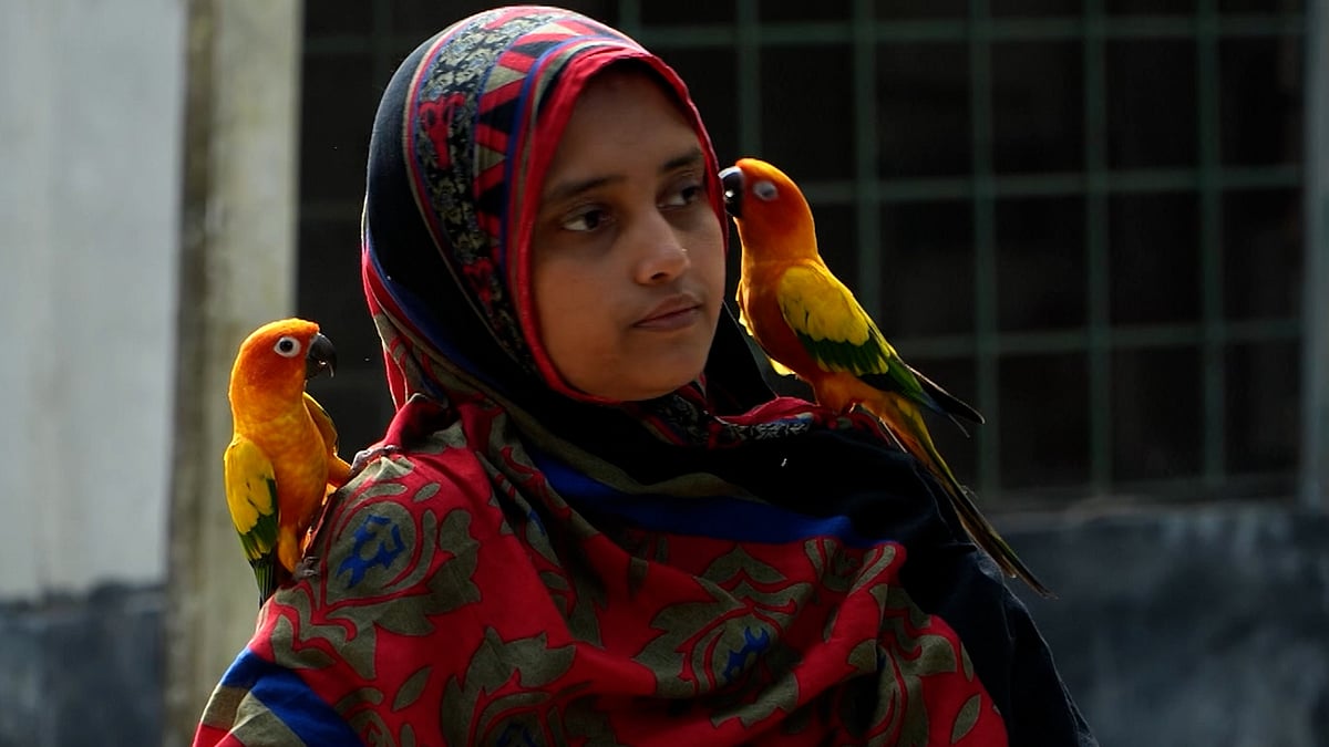 পাখির সঙ্গে বন্ধুত্ব, সমালোচনা পেরিয়ে সফল কনটেন্ট ক্রিয়েটর