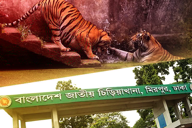 চিড়িয়াখানা বেহাল, কী বলছেন পরিচালক