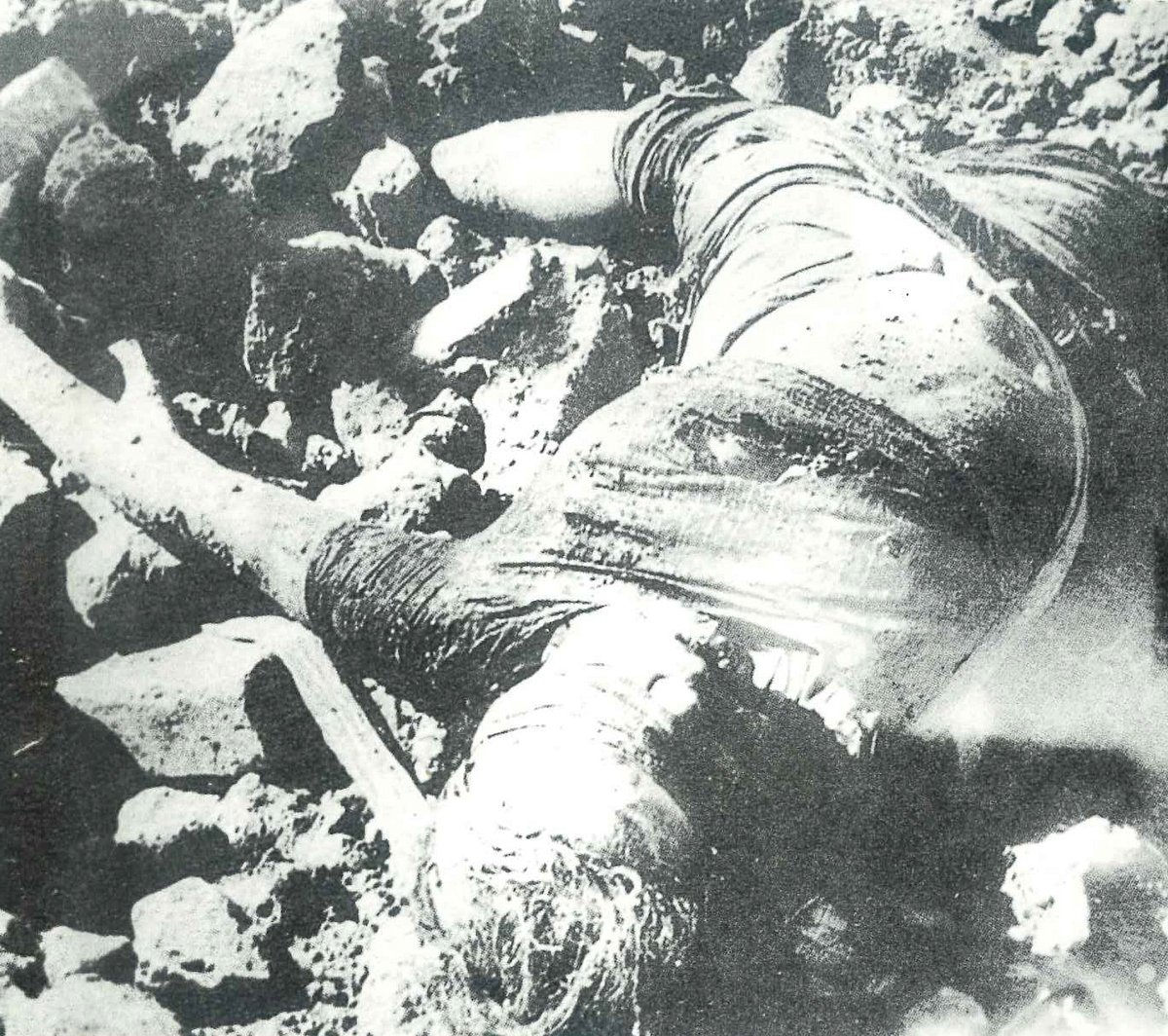 বুদ্ধিজীবী নিধনের রাজনীতি