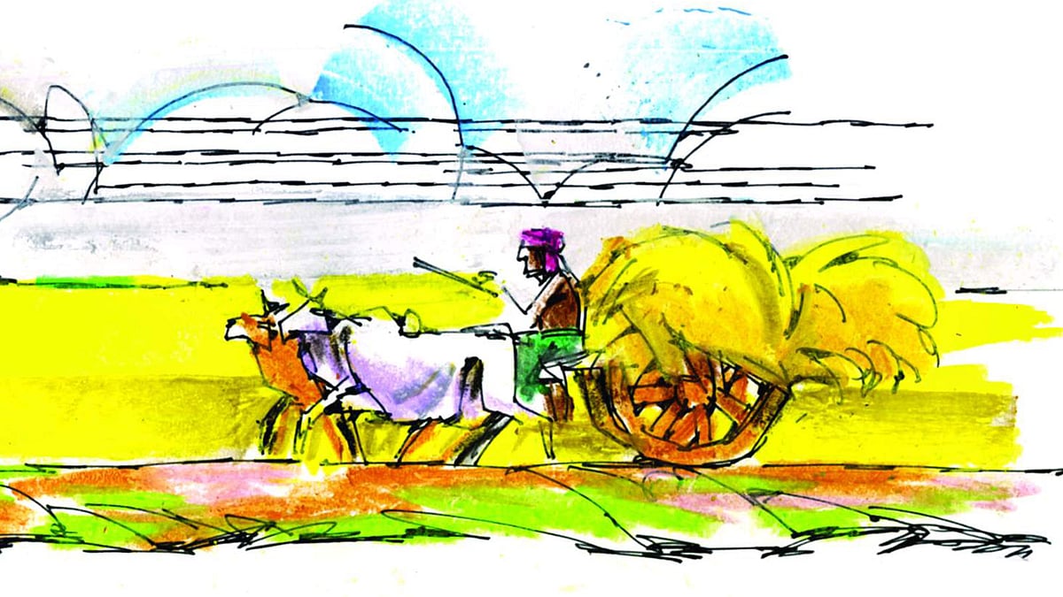 পাকিস্তানি সেনারা মুক্তিযোদ্ধাকে দেখিয়ে দিয়ে বলে, ‘এই লোক কে?’