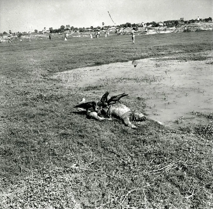 জলাশয়ের ধারে পড়ে আছে এক বুদ্ধিজীবীর লাশ [রায়েরবাজার, ঢাকা, ১৭ ডিসেম্বর, ১৯৭১]। আলোকচিত্র : রশীদ তালুকদারর