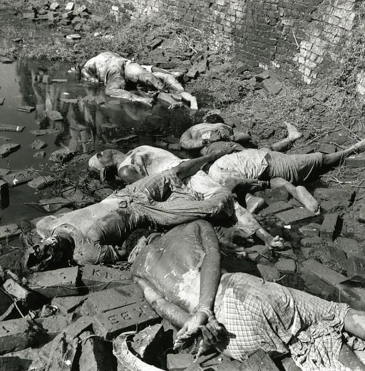 হাত ও মুখ বাঁধা শহীদ বুদ্ধিজীবীদের শবদেহ [রায়েরবাজার, ঢাকা, ১৮ ডিসেম্বর, ১৯৭১]। আলোকচিত্র : রশীদ তালুকদার