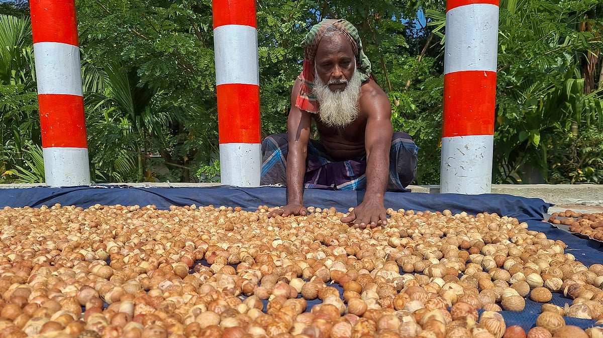  ছবি: সাইয়ান