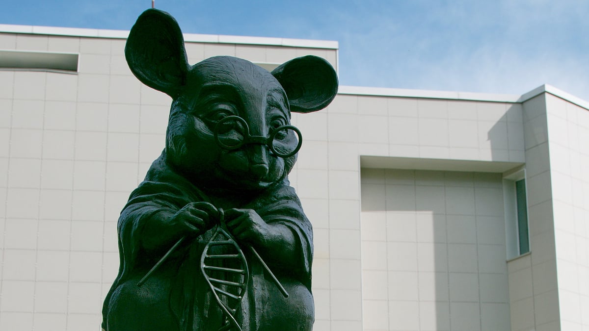 ইঁদুরের স্মৃতিস্তম্ভ