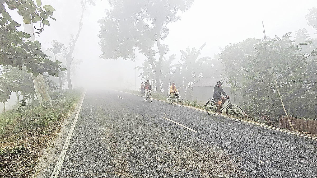 শীতের হাওয়ার লাগল নাচন