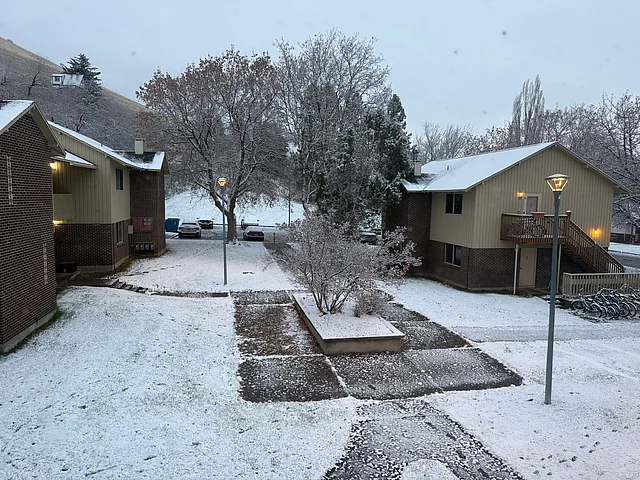 ভোরের আলো ফোটার আগেই মিজুলা যেন বদলে গেল