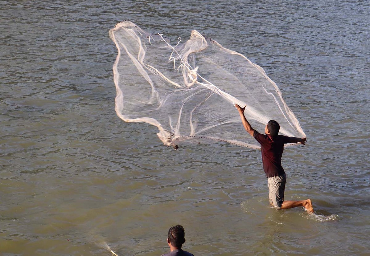 ছবি: আকমল হোসেন নিপু 
