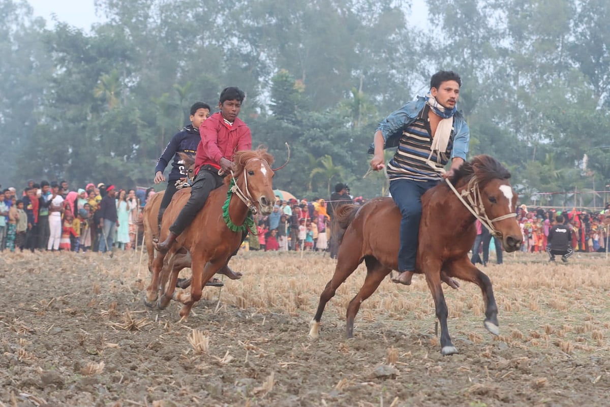 আমনের ফাঁকা মাঠে ঘোড়দৌড় প্রতিযোগিতা