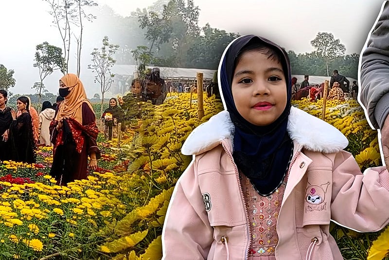 দুই তরুণের উদ্যোগে চুয়াডাঙ্গায় ফুলের বাগান, পর্যটন ও অর্থনীতিতে নতুন দিগন্ত