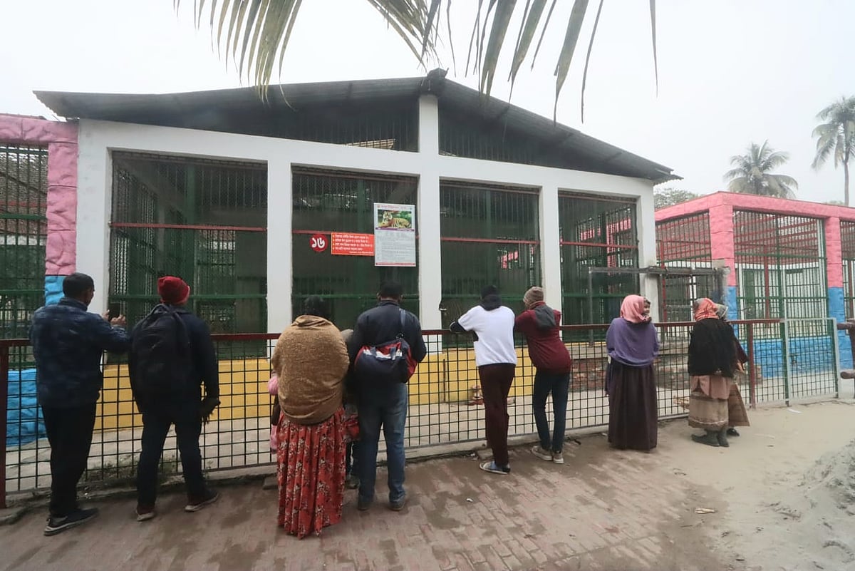 রাজা ও রানির খাঁচার সামনে দর্শনার্থীরা 