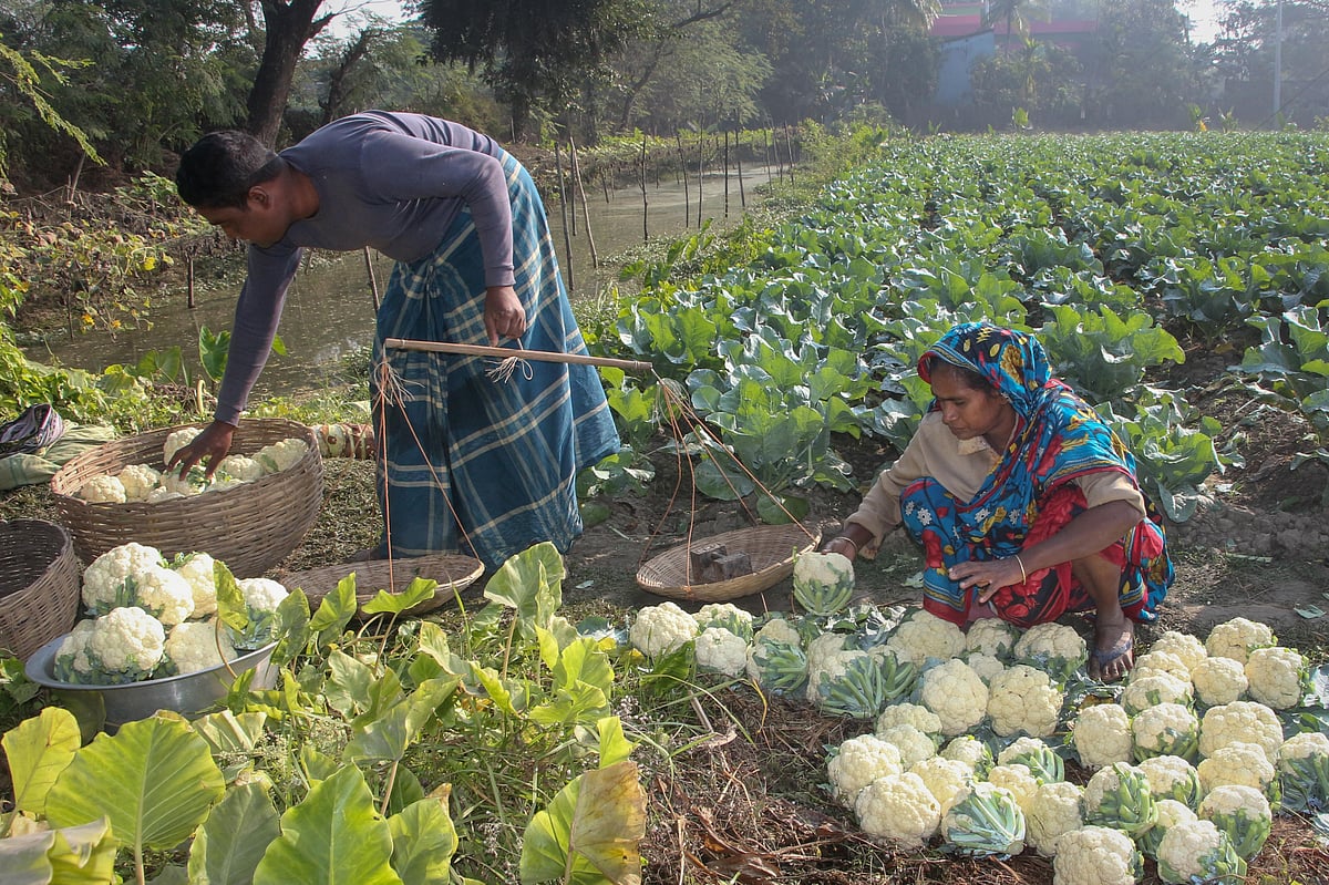 ছবি: সাদ্দাম হোসেন